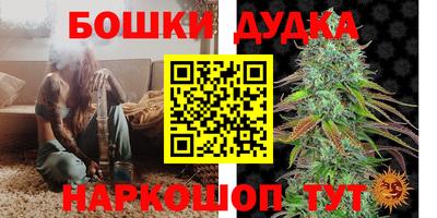 МДПВ Канаш