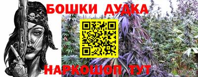 МДПВ Канаш