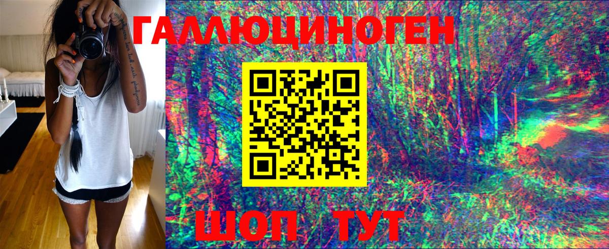 Псилоцибиновые грибы Psilocybine cubensis  Вход с VPN  Ипатово 