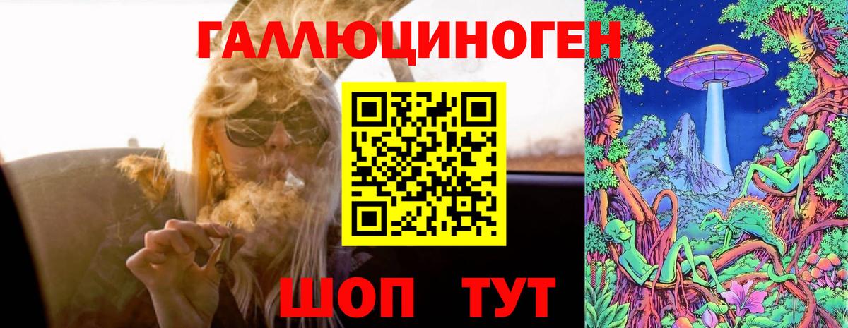 Галлюциногенные грибы Psilocybe Ипатово